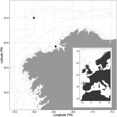 Phytoplankton Diversity Effect on Ecosystem Functioning in a Coastal Upwelling System